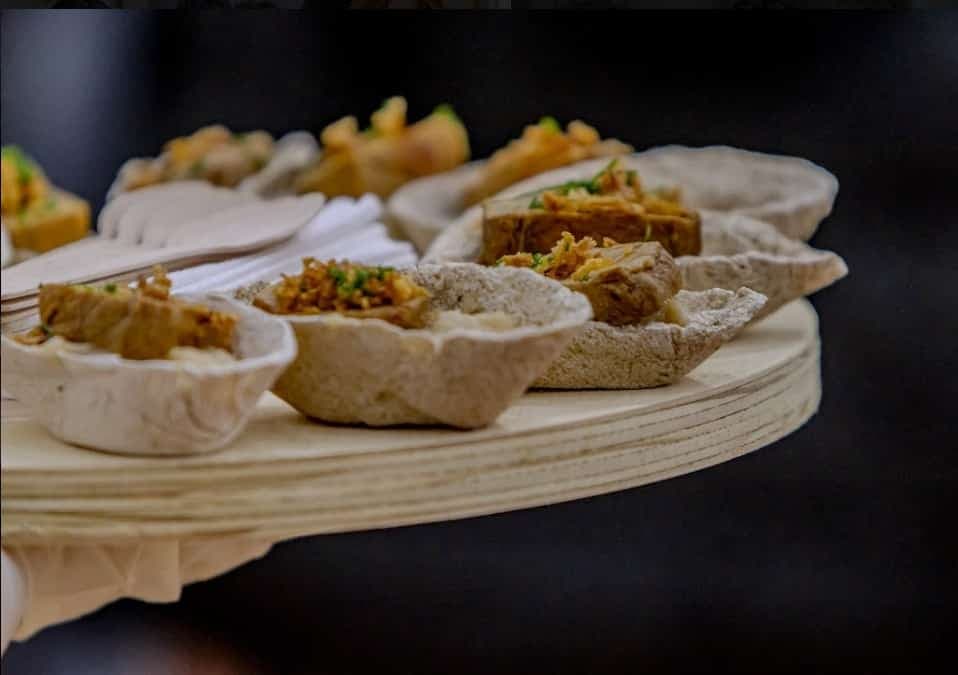 Picture of the author