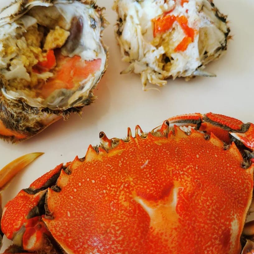 Picture of the author