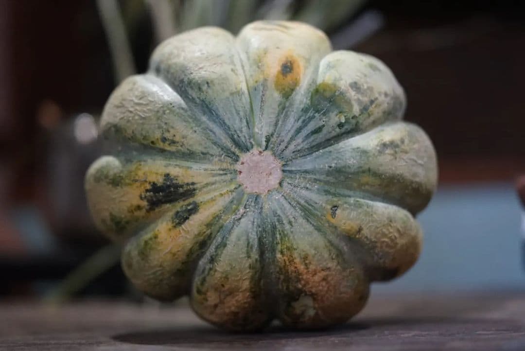 Picture of the author