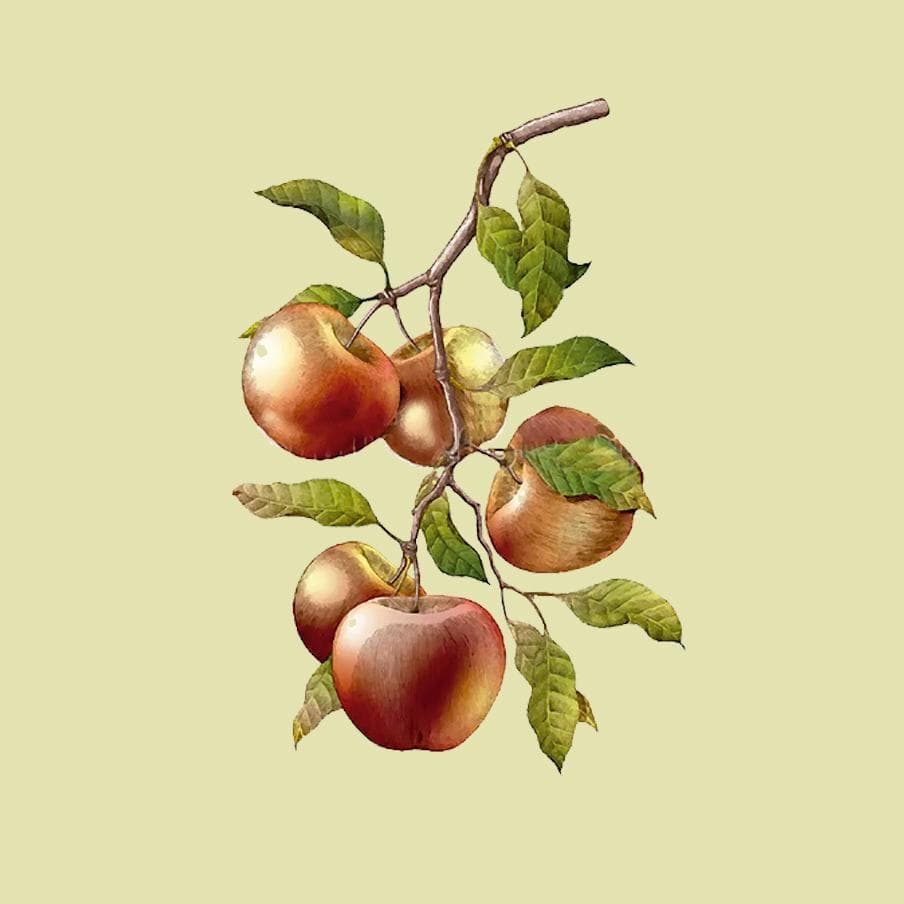 Picture of the author