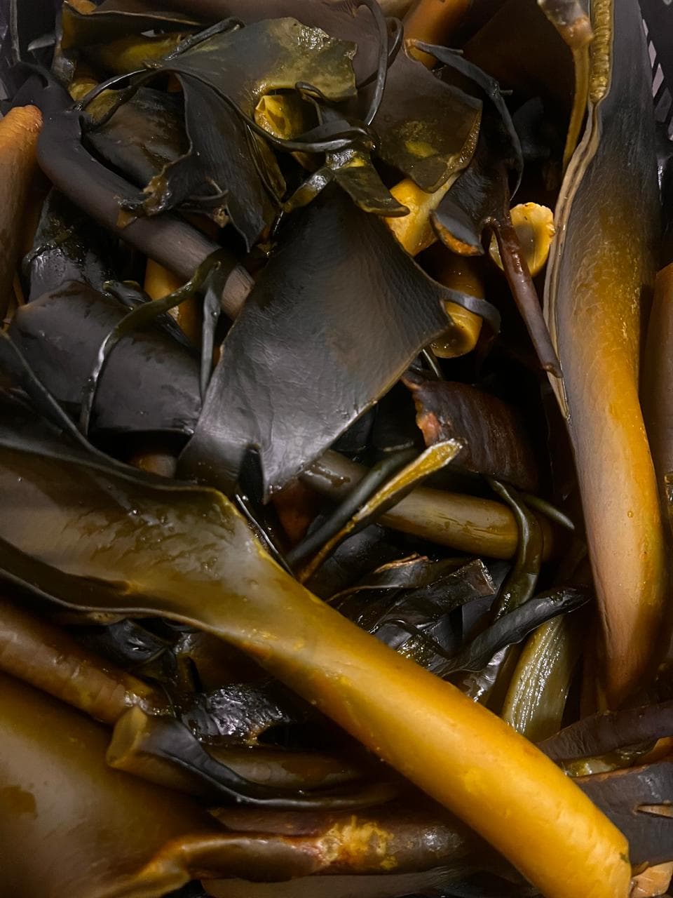 Picture of the author