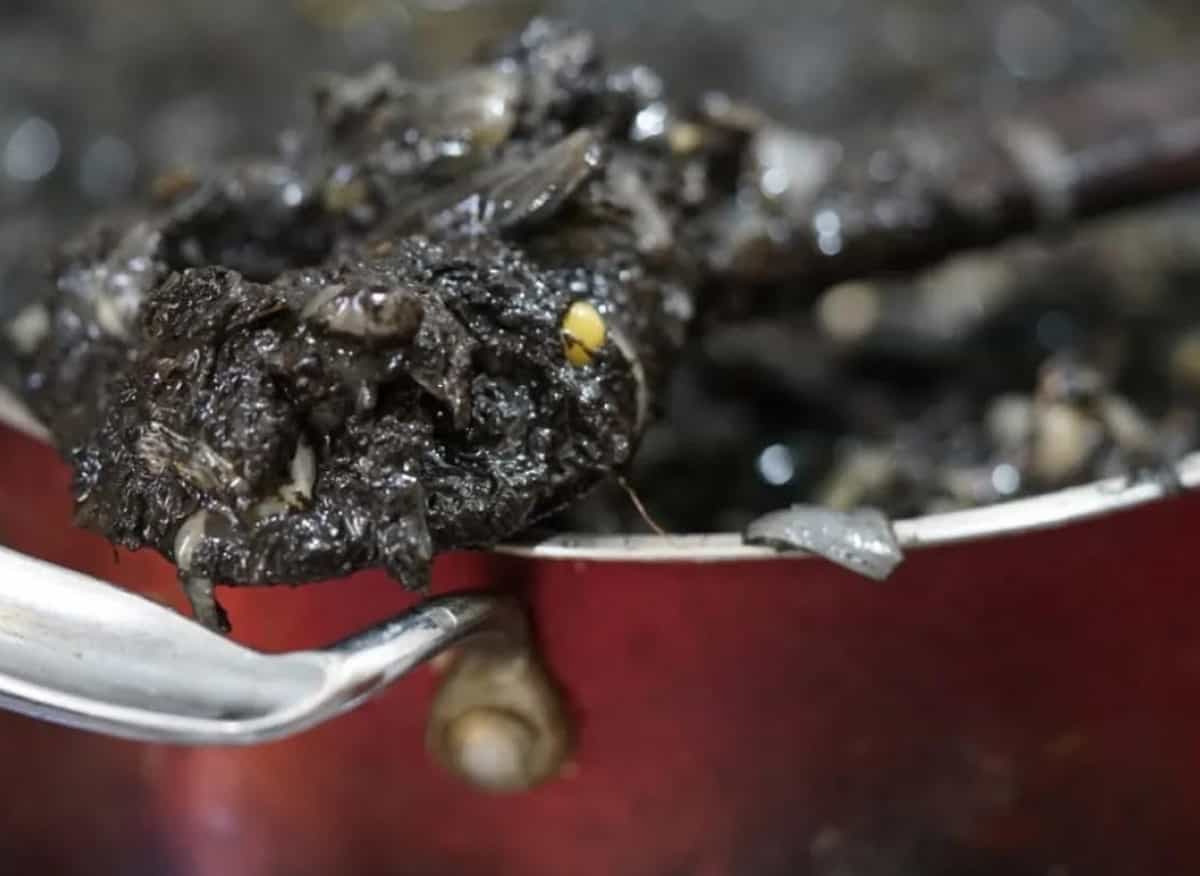 Picture of the author